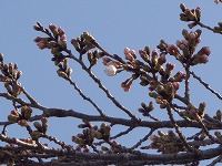 DSC00324 DSC00324