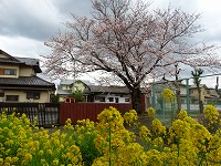 s-DSC03118 s-DSC03118