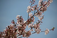 IMG_9676 IMG_9676