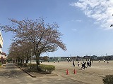 IMG_1484