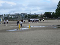 IMG_6799 IMG_6799