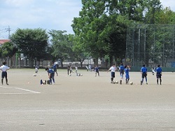 IMG_0425 IMG_0425