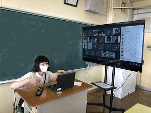 image_50444289