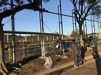 IMG_9627