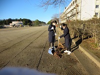 IMG_6920