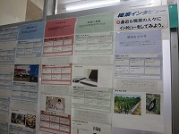 IMG_6948 IMG_6948