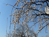 image0 image0