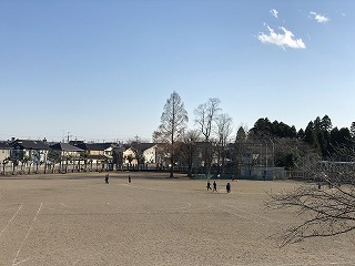 IMG_4859 IMG_4859