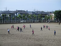 IMG_1868 IMG_1868