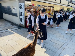 IMG-4900