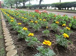 IMG_0083