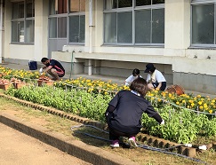 IMG-1591+ IMG-1591+