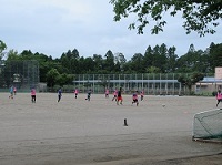 IMG_0886