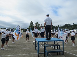 IMG_0931 IMG_0931
