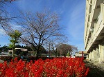 IMG_0307