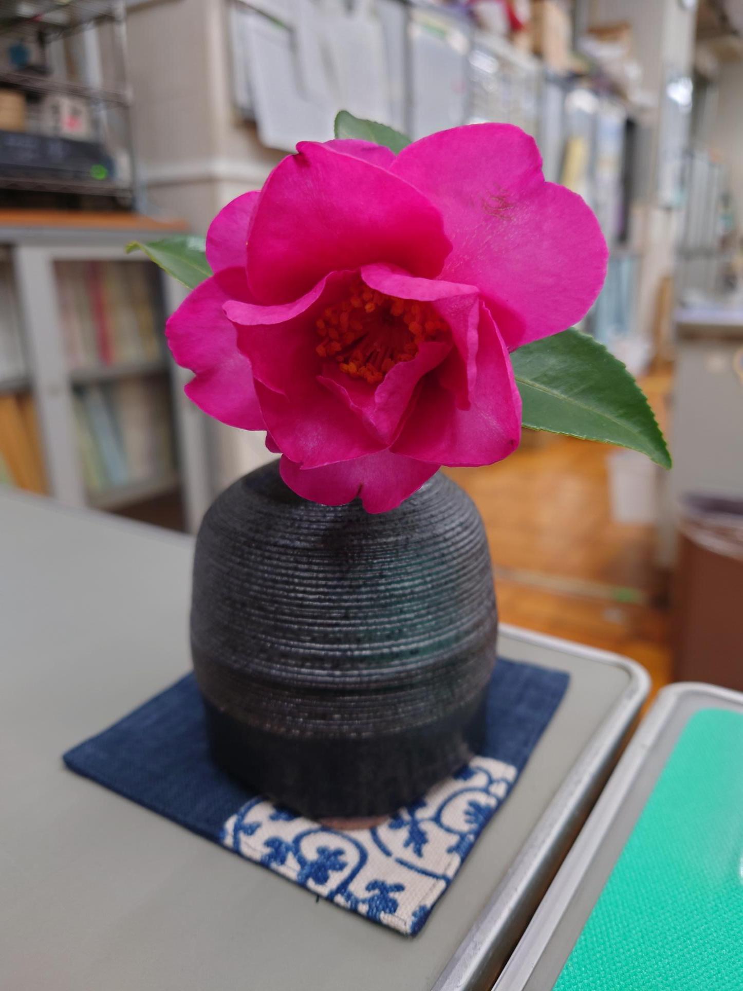 冬の花
