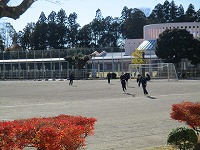 IMG_0388 IMG_0388