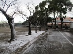 IMG_0521