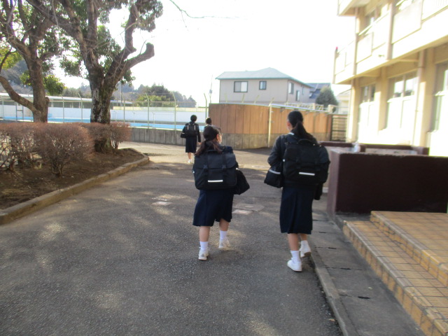 IMG_0551 IMG_0551