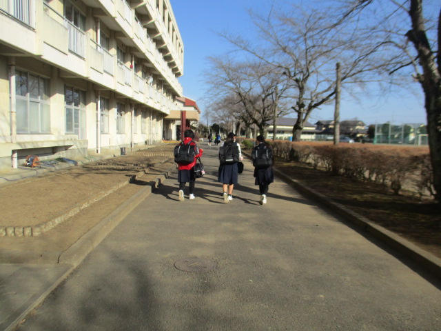 IMG_0549 IMG_0549