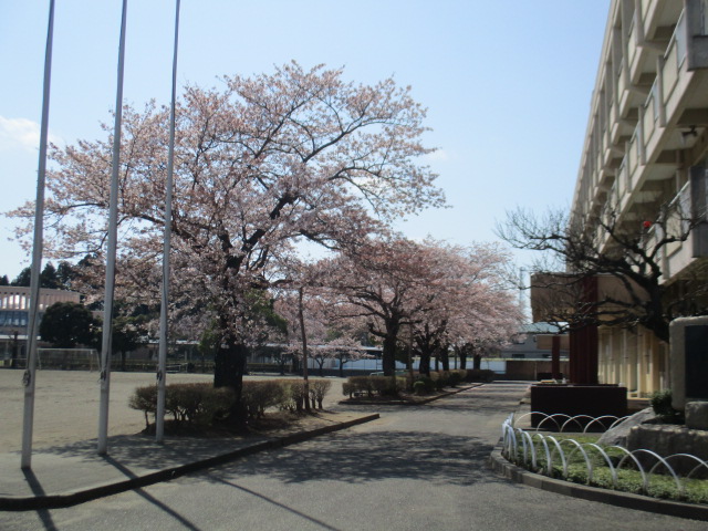 IMG_0706 IMG_0706