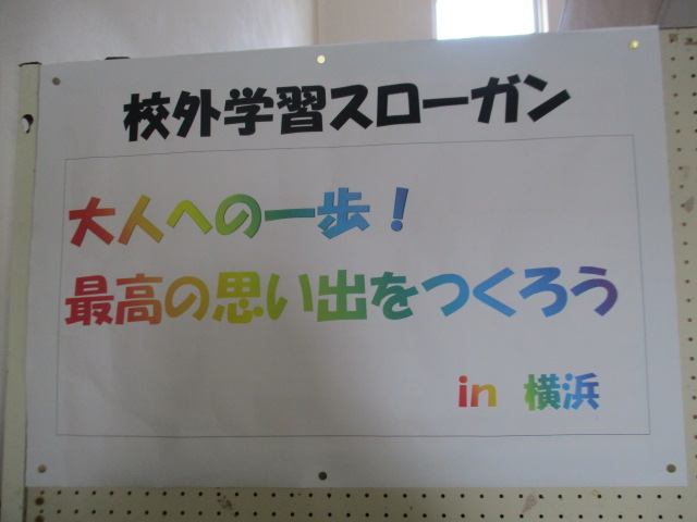 IMG_0817 IMG_0817