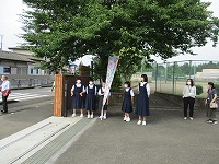IMG_1961 IMG_1961