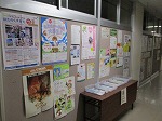 IMG_1061 IMG_1061