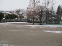 IMG_0099 IMG_0099