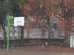 IMG_0143 IMG_0143