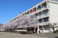 IMG_0889 IMG_0889