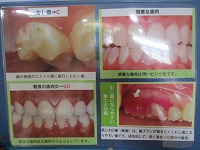 IMG_0320 IMG_0320