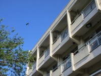 IMG_1340 IMG_1340