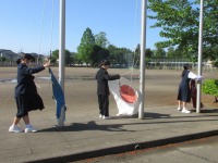 IMG_1346 IMG_1346