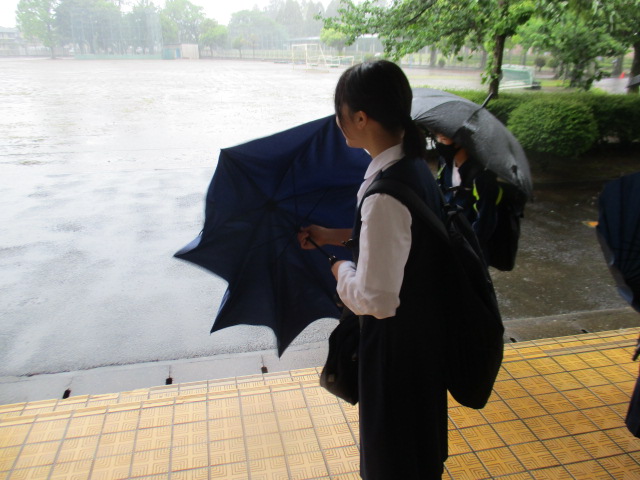 IMG_0364 IMG_0364