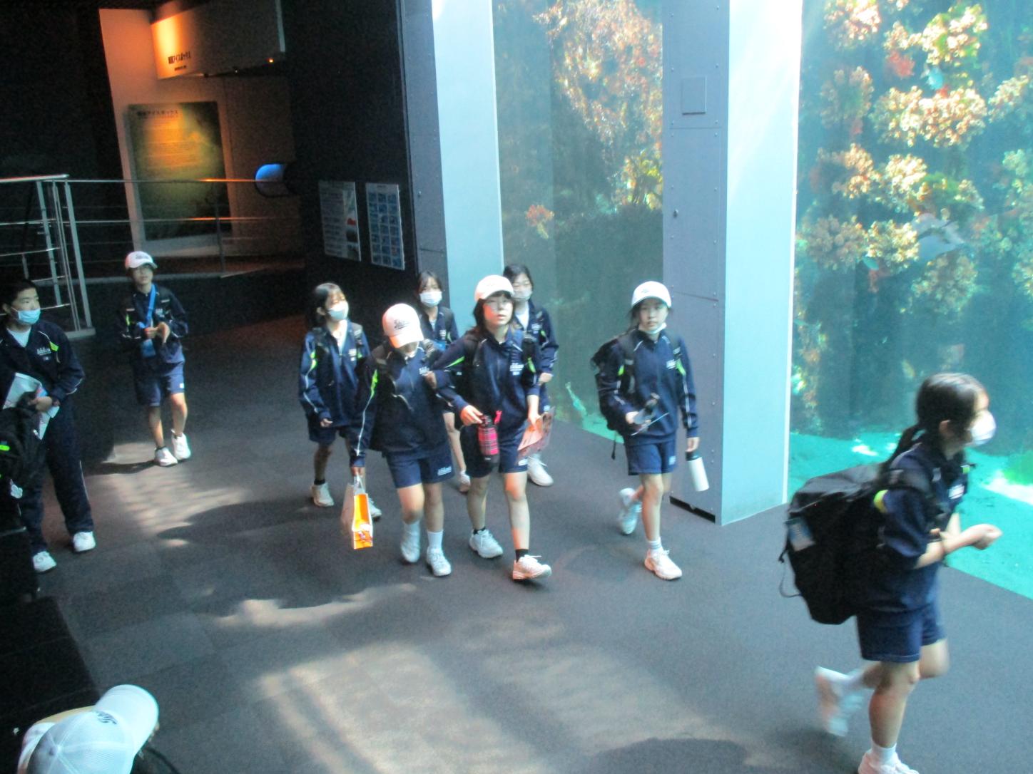 IMG_3833 IMG_3833