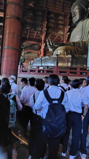 IMG_2710 IMG_2710
