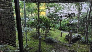 IMG_2775 IMG_2775