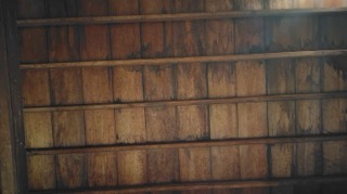 IMG_2794 IMG_2794