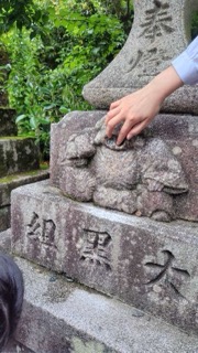 IMG_2829 IMG_2829