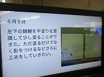 IMG_0488