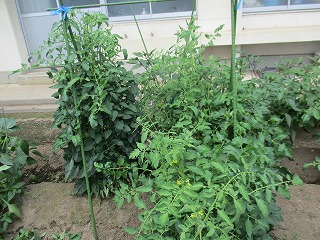 IMG_0582 IMG_0582