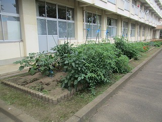 IMG_0581 IMG_0581