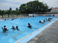 IMG_2204 IMG_2204