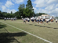 IMG_0646 IMG_0646