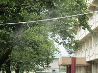 IMG_2231 IMG_2231