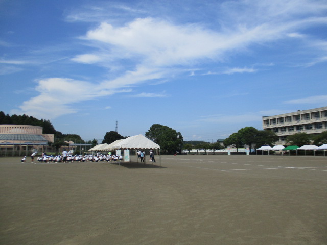 IMG_0661 IMG_0661