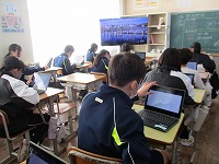 IMG_2317 IMG_2317