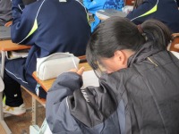 IMG_7972 IMG_7972