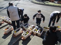 IMG_1106 IMG_1106